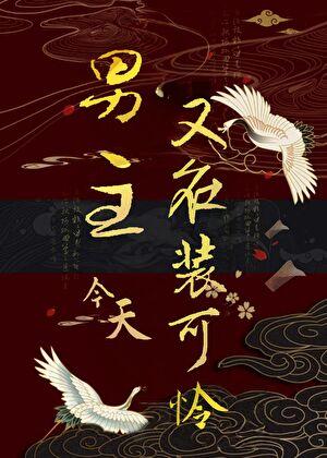 男主今天又在装可怜