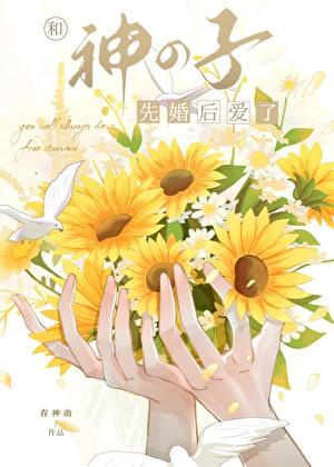 幸村先生,请与我结婚