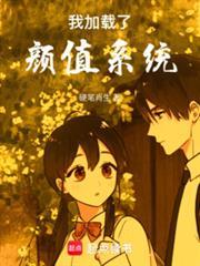 我加载了顏值系统