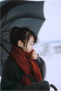 在ABO文里当辅导员精校版全本+番外完